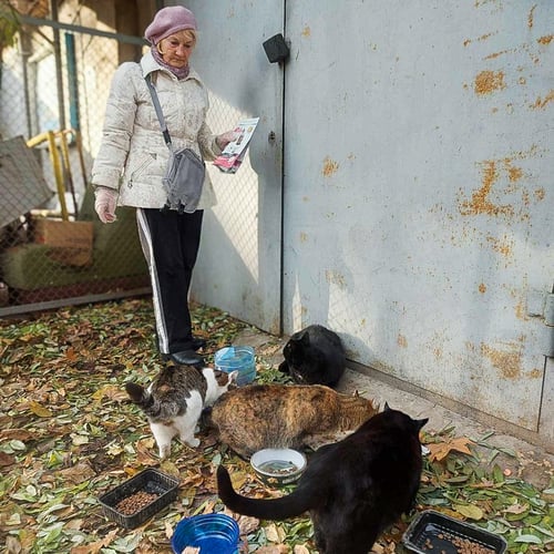 VS-Photograph_20240205_DRI_Ukraine_Odessa_Grandmothers_002_©UnitedforAnimals copy